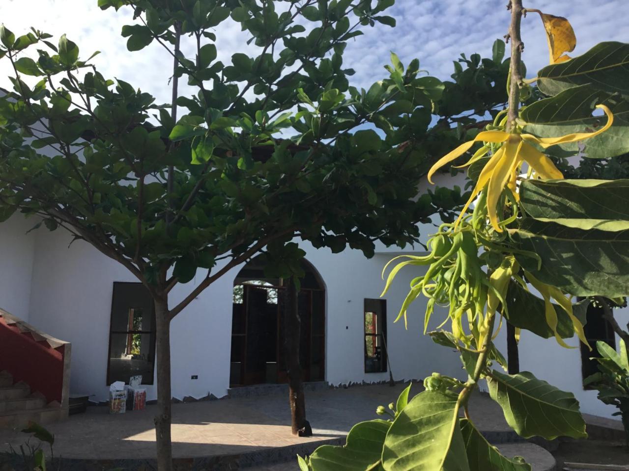 Mama Africa Art Residence & Art Center Gambia Tanji Exterior photo